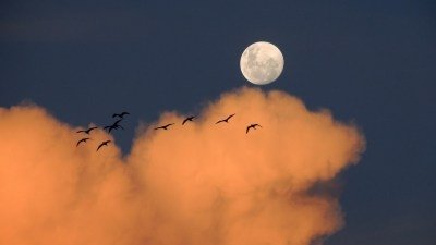 Фото: pixabay.com/из архива