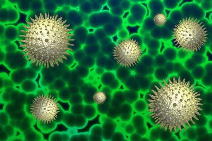  Фото: vremyan.ru