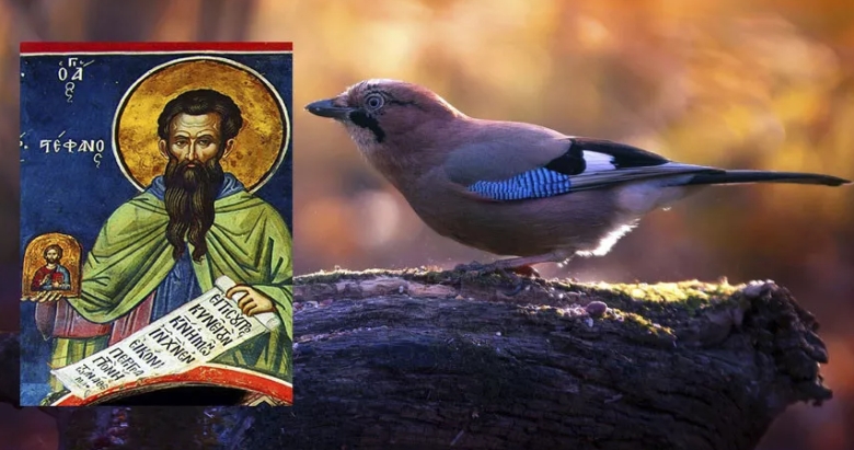 Фото с сайта rsute.ru