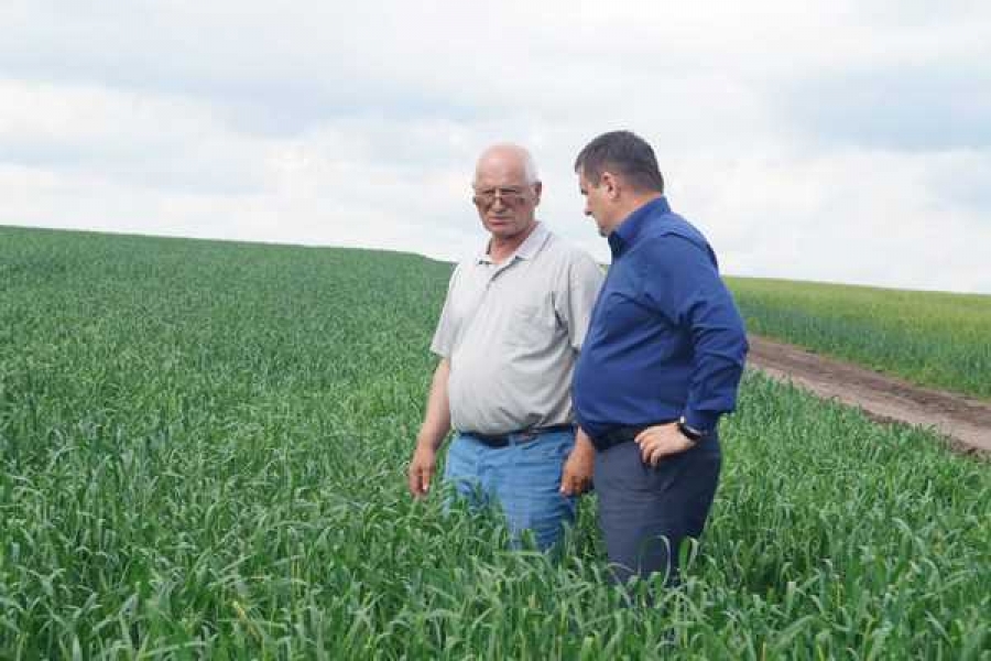 Фото: минсельхоз Хакасии