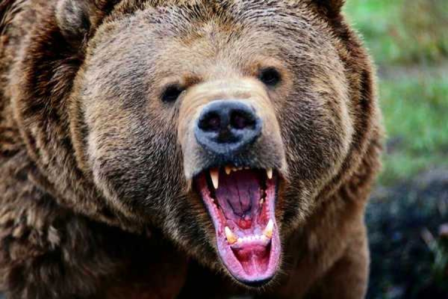 Фото с сайта dela.ru