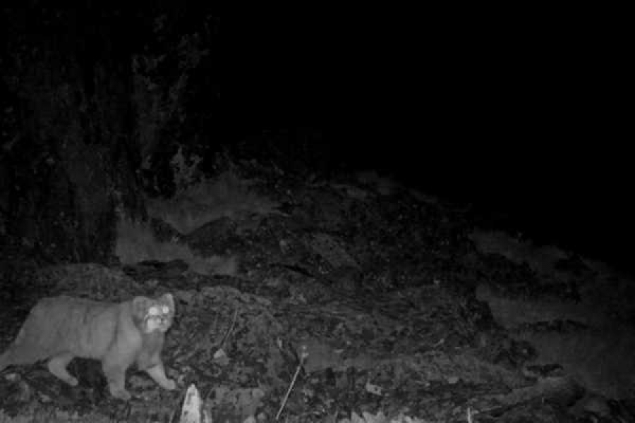 Фото: Заповедник "Хакасский"